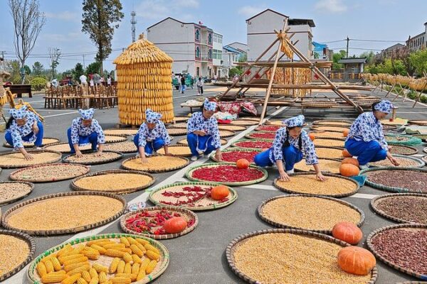 Los agricultores de China celebran el alegre Festival de la Cosecha 🌾🎉 Los_agricultores_de_China_celebran_el_alegre_Festival_de_la_Cosecha___
