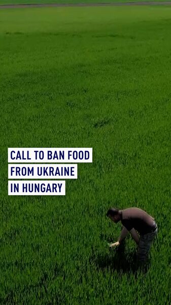 Los_agricultores_hu_ngaros_luchan_mientras_las_importaciones_ucranianas_inundan_los_mercados_de_la_UE___ video poster