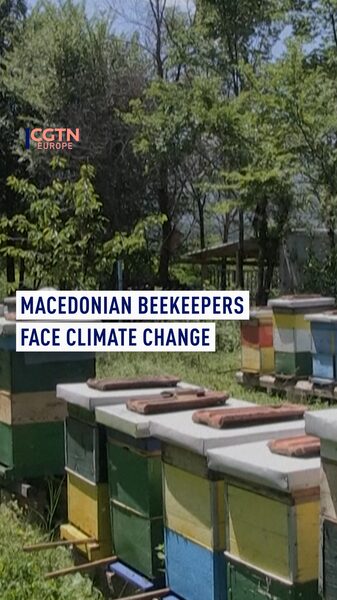 Los_apicultores_en_Macedonia_del_Norte_sienten_el_golpe_del_cambio_clima_tico____ video poster