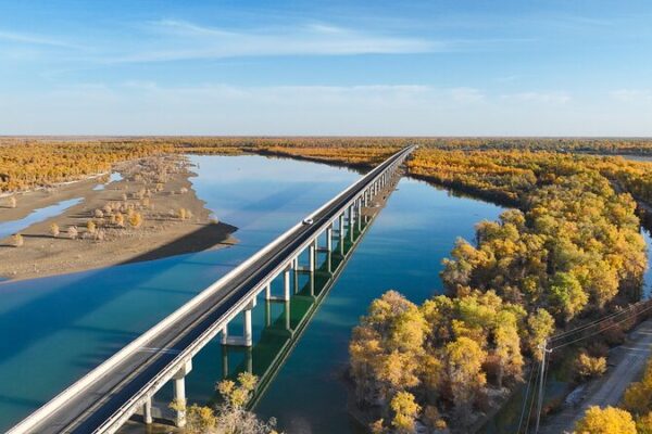 Los bosques de álamos dorados iluminan el río Tarim en Xinjiang 🌅 Los_bosques_de_a_lamos_dorados_iluminan_el_ri_o_Tarim_en_Xinjiang__