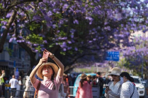 Los condados toman protagonismo: Tendencia de viajes en Día del Trabajo de China Los_condados_toman_protagonismo__Tendencia_de_viajes_en_Di_a_del_Trabajo_de_China