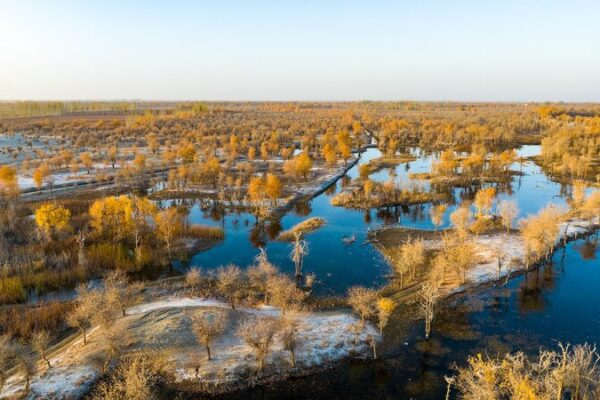 _Los_impresionantes_A_lamo_del_Desierto_iluminan_el_corazo_n_de_Xinjiang_ video poster