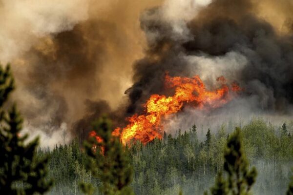 __Los_incendios_forestales_de_Canada__en_2023_emiten_ma_s_carbono_que_naciones_enteras__segu_n_NASA