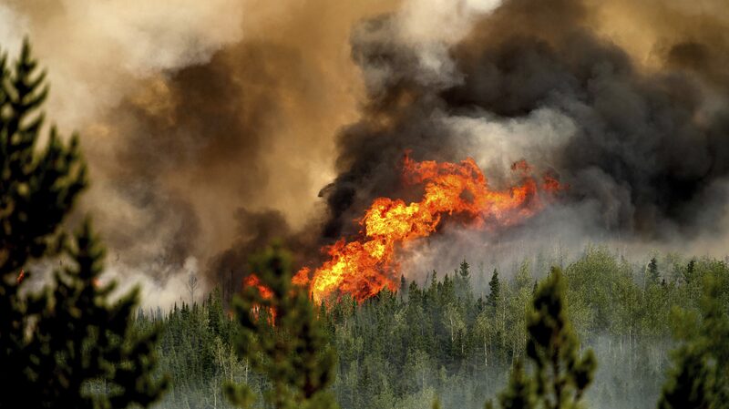 __Los_incendios_forestales_de_Canada__en_2023_emiten_ma_s_carbono_que_naciones_enteras__segu_n_NASA