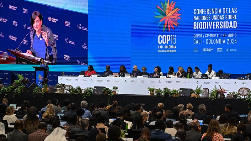 Los_li_deres_en_la_COP16_en_Colombia_instan_al_mundo_a_financiar_la_conservacio_n_urgente_de_la_naturaleza___