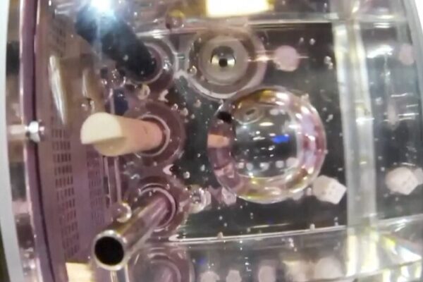 Los peces espaciales se marean: peces cebra giran en la Estación Espacial China 🐟🚀 Los_peces_espaciales_se_marean__peces_cebra_giran_en_la_Estacio_n_Espacial_China___ video poster