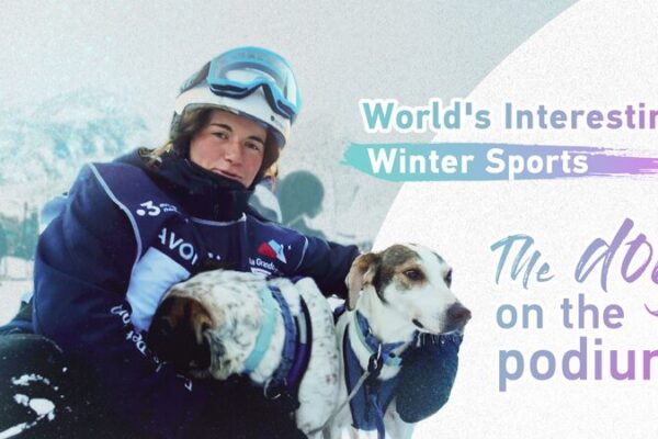 Los perros se toman el podio en La Grande Odyssée Savoie Mont Blanc 🐶🏆 Los_perros_se_toman_el_podio_en_La_Grande_Odysse_e_Savoie_Mont_Blanc___ video poster