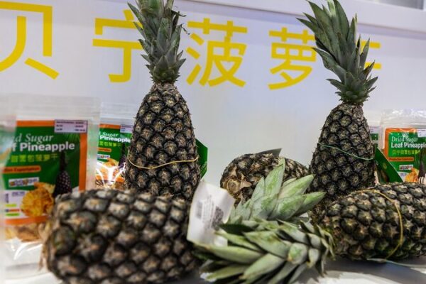 Los_regalos_de_la_naturaleza_de_A_frica_brillan_en_la_7ma_Exposicio_n_Internacional_de_Importaciones_de_China
