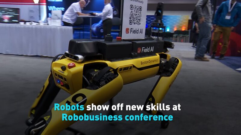__Los_robots_sorprenden_en_la_conferencia_Robobusiness_con_habilidades_de_otro_nivel video poster
