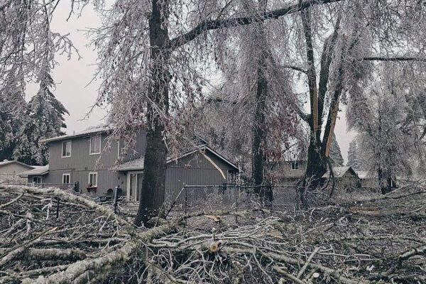 Más de 100,000 sin electricidad en Oregón debido a ola de frío en EE. UU. 🌨️ Ma_s_de_100_000_sin_electricidad_en_Orego_n_debido_a_ola_de_fri_o_en_EE__UU____