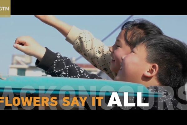 ¡Más de 25 millones de flores al día! El boom primaveral del mercado Dounan _Ma_s_de_25_millones_de_flores_al_di_a__El_boom_primaveral_del_mercado_Dounan video poster
