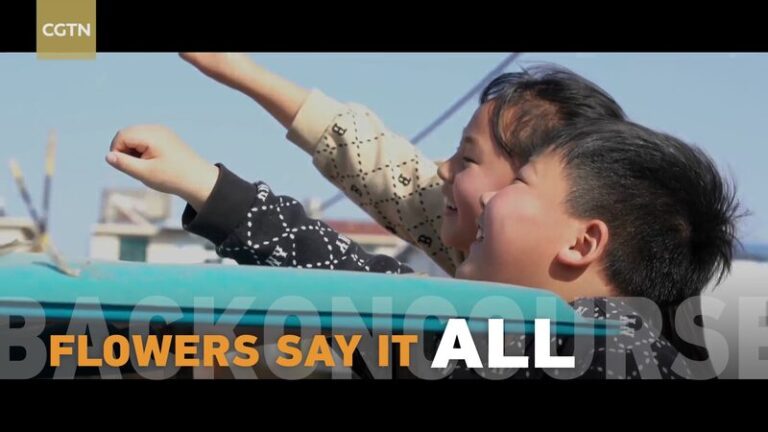 _Ma_s_de_25_millones_de_flores_al_di_a__El_boom_primaveral_del_mercado_Dounan video poster