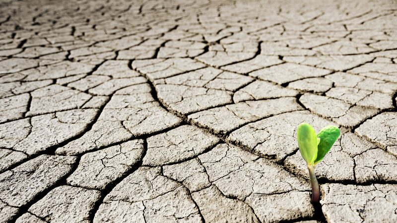 Ma_s_del_75__de_la_Tierra_ahora_ma_s_seca_de_manera_permanente__dice_informe_de_la_ONU___