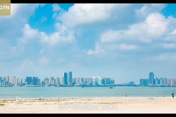 Manglares_Acuicultura_de_Zhanjiang__Una_Nueva_Ola_de_Agricultura_Ecolo_gica___ video poster