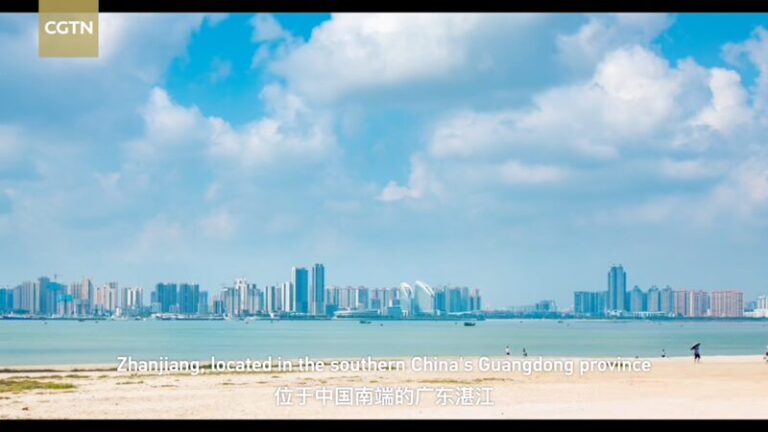 Manglares_Acuicultura_de_Zhanjiang__Una_Nueva_Ola_de_Agricultura_Ecolo_gica___ video poster