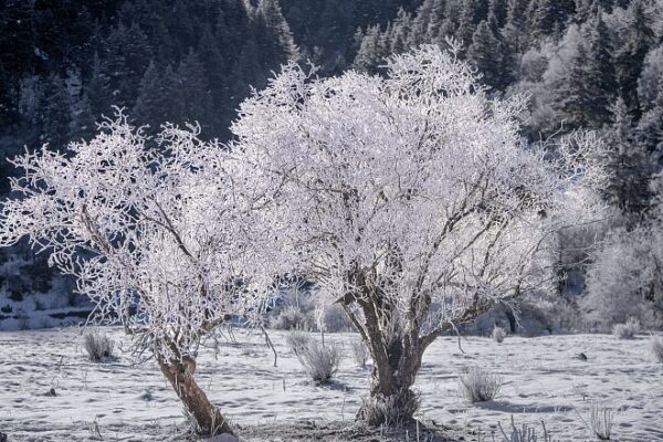 Maravilloso_Pai_s_de_las_Maravillas_Helado_Revelado_en_el_Parque_Nacional_Potatso_de_Yunnan