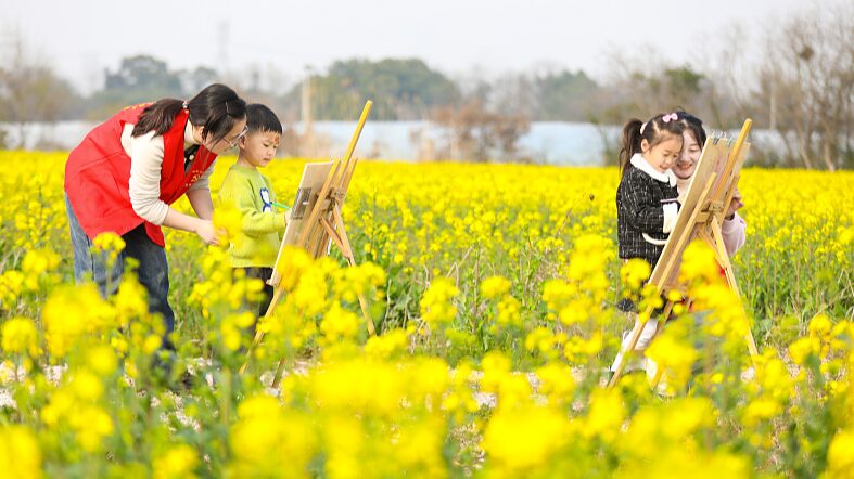 Mares_dorados_de_primavera__Las_flores_de_colza_en_plena_floracio_n_en_China__