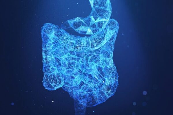 Microbios intestinales amantes de la grasa: los culpables ocultos detrás de la propagación del cáncer 🦠🍔 Microbios_intestinales_amantes_de_la_grasa__los_culpables_ocultos_detra_s_de_la_propagacio_n_del_ca_ncer___