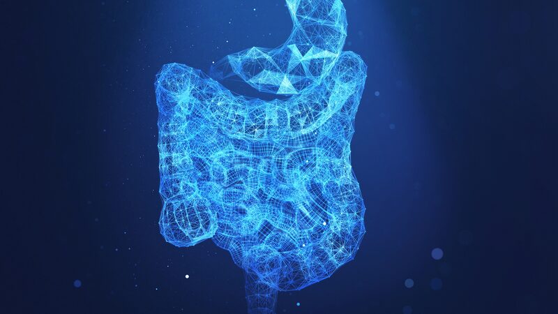 Microbios_intestinales_amantes_de_la_grasa__los_culpables_ocultos_detra_s_de_la_propagacio_n_del_ca_ncer___