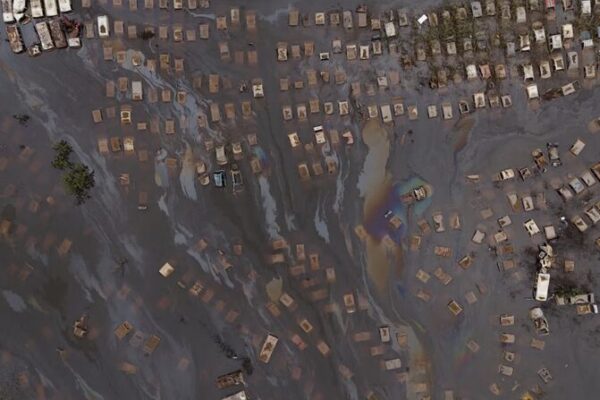 Miles_de_cerdos_y_aves_perecen_en_inundaciones_en_Brasil