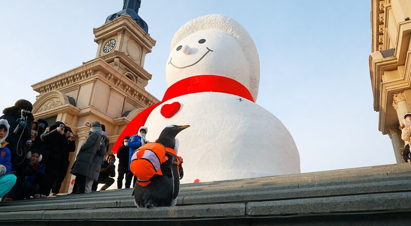Mun_eco_de_Nieve_Gigante_en_Harbin_Atrae_a_Turistas_con_Magia_Invernal____ video poster