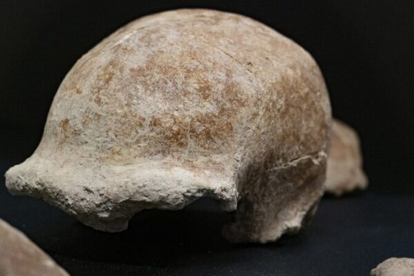 Neandertales_y_Humanos_Modernos__Cienti_ficos_Revelan_Vi_nculos_Gene_ticos_Antiguos___