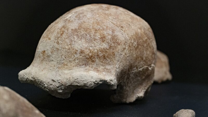 Neandertales_y_Humanos_Modernos__Cienti_ficos_Revelan_Vi_nculos_Gene_ticos_Antiguos___