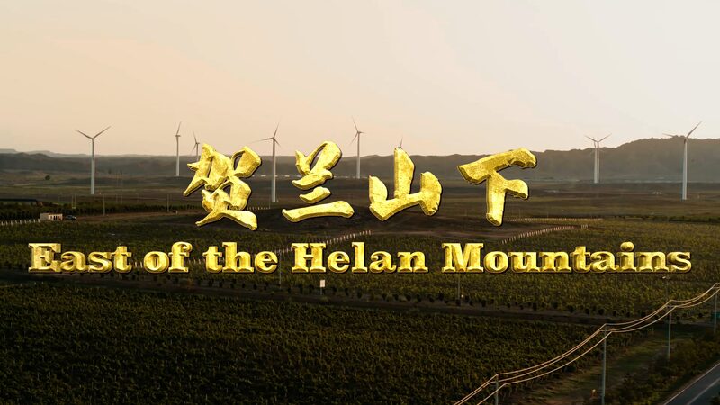 Ningxia__El_Milagro_Vini_cola_al_Este_de_las_Montan_as_Helan__ video poster