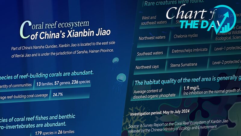 Nueva_Encuesta_Revela_Arrecifes_de_Coral_Pro_speros_en_Xianbin_Jiao___