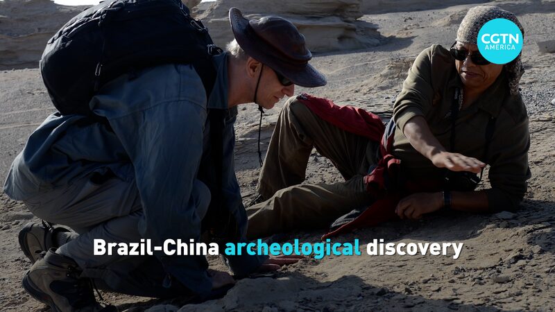 _Nueva_especie_de_pterosaurio_descubierta_gracias_a_la_colaboracio_n_Brasil_China_ video poster