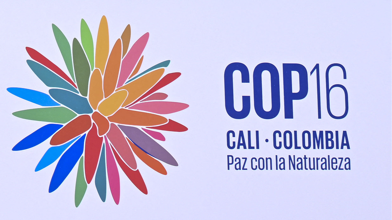 _Nueve_proyectos_aprobados_por_el_Fondo_de_Biodiversidad_de_Kunming_en_la_COP16_