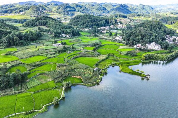 Objetivos Verdes de China: NDRC Revela Pasos Clave para un Futuro Ecológico 🌿 Objetivos_Verdes_de_China__NDRC_Revela_Pasos_Clave_para_un_Futuro_Ecolo_gico__