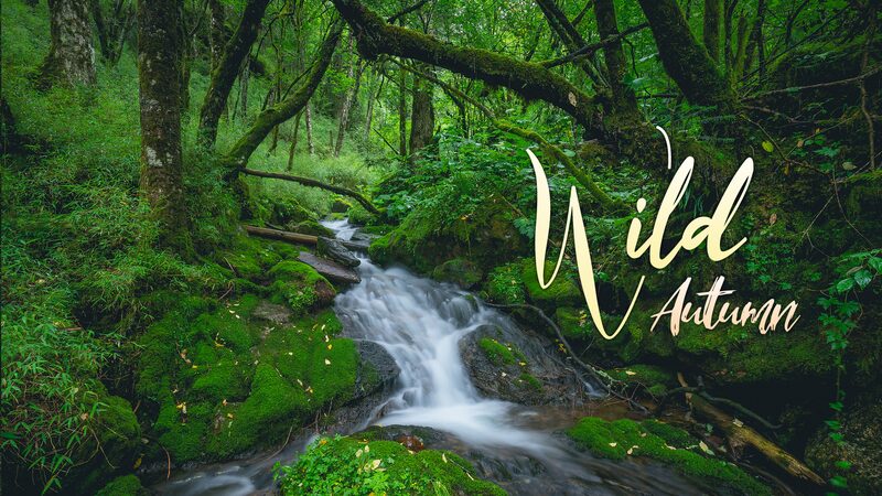 Oton_o_Salvaje__The_mysterious_springs_of_the_hidden_valley_of_Shennongjia video poster