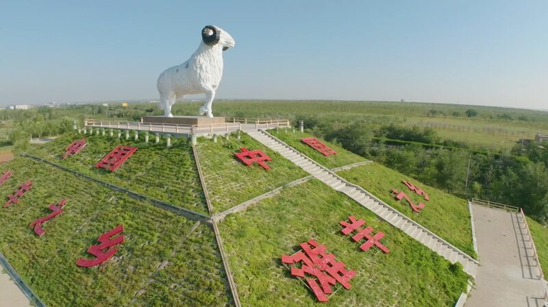 Ovejas_Yanchi_Tan__El_Tesoro_de_Mil_Millones_de_Yuanes_que_Empodera_a_los_Agricultores___ video poster