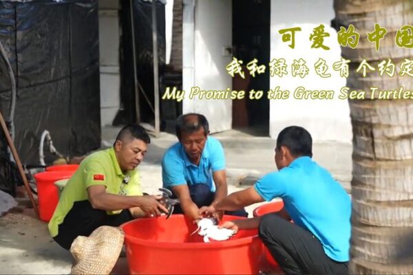 Padre_e_Hijo_se_Unen_para_Salvar_Tortugas_Marinas_en_el_Mar_de_China_Meridional_____ video poster