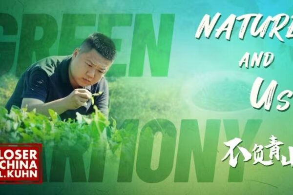 Parque_Nacional_Wuyishan__Donde_la_Naturaleza_y_los_Locales_Prosperan_Juntos__ video poster