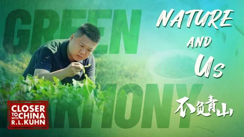 Parque_Nacional_Wuyishan__Donde_la_Naturaleza_y_los_Locales_Prosperan_Juntos__ video poster