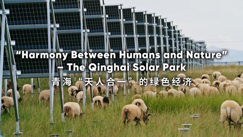 Parque_Solar_Talatan__Un_oasis_verde_que_une_a_los_humanos_y_la_naturaleza___ video poster