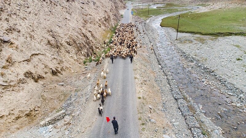 Pastores_de_Xinjiang_adoptan_la_mecanizacio_n__una_nueva_era_en_la_transicio_n_del_ganado video poster
