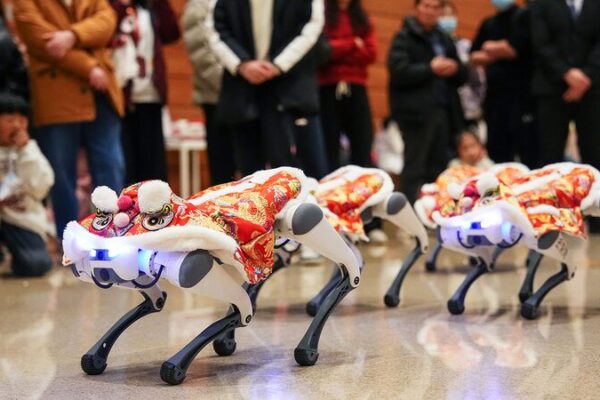 Perros_robot_roban_el_especta_culo_como_mini__bailarines_de_leo_n__en_la_diversio_n_del_Festival_de_Primavera_de_Peki_n