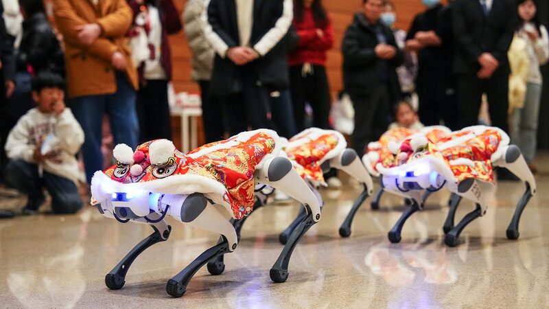 Perros_robot_roban_el_especta_culo_como_mini__bailarines_de_leo_n__en_la_diversio_n_del_Festival_de_Primavera_de_Peki_n
