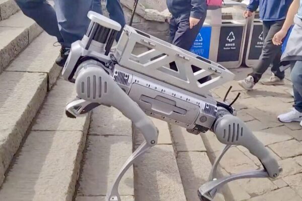 Perros robots escalan el Monte Taishan para transportar basura 🐾♻️ Perros_robots_escalan_el_Monte_Taishan_para_transportar_basura____ video poster