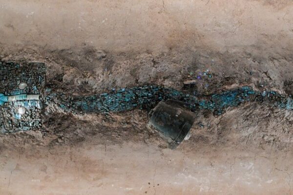 Persiguiendo_Dragones__Descubre_la_Magia_en_el_Museo_Arqueolo_gico_Chino__
