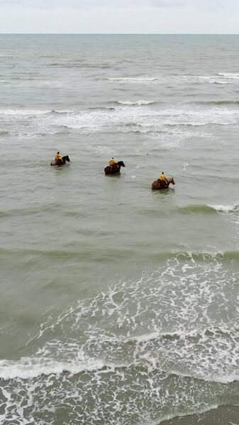 _Pescadores_a_caballo_preservan_tradicio_n_centenaria_de_pesca_de_camaro_n_en_Be_lgica____ video poster