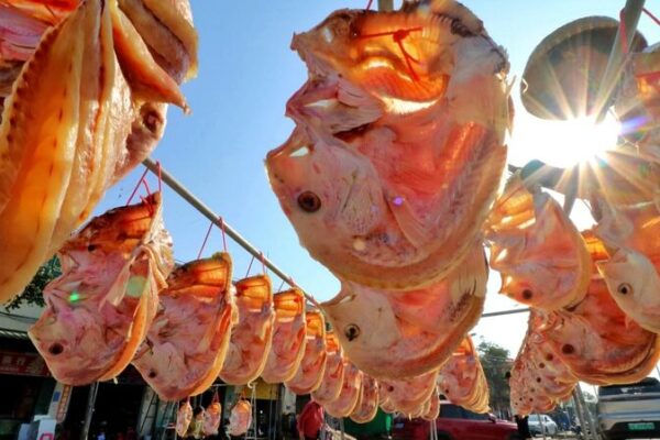 Pez rojo: el platillo festivo de Hainan que trae buena suerte 🎏 Pez_rojo__el_platillo_festivo_de_Hainan_que_trae_buena_suerte__