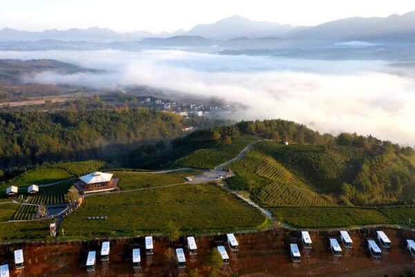 Pie_rdete_en_las_plantaciones_de_te__besadas_por_las_nubes_del_este_de_China____ video poster