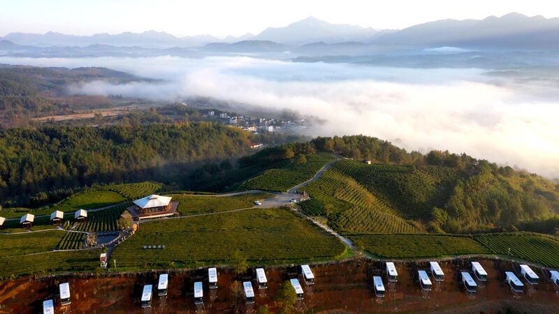 Pie_rdete_en_las_plantaciones_de_te__besadas_por_las_nubes_del_este_de_China____ video poster