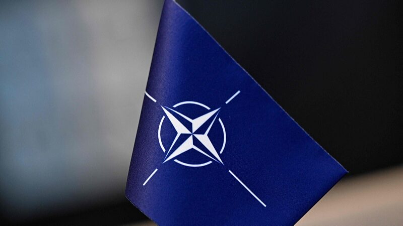 _Podri_a_la_membresi_a_de_Suecia_en_la_OTAN_cambiar_la_seguridad_europea___