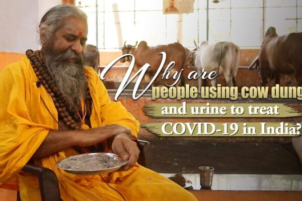 Por qué algunos en India recurren a remedios con estiércol de vaca durante la COVID-19 Por_que__algunos_en_India_recurren_a_remedios_con_estie_rcol_de_vaca_durante_la_COVID_19 video poster