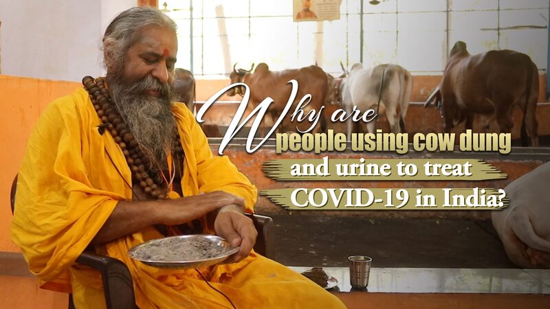 Por_que__algunos_en_India_recurren_a_remedios_con_estie_rcol_de_vaca_durante_la_COVID_19 video poster